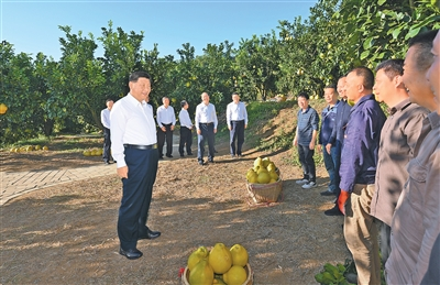 1764901046144834.png 4.png